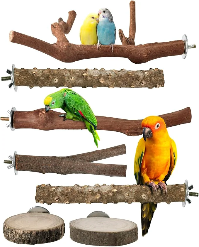 Official Bissap Bird Perch Stand 7PCS Natural Grape Wood Pole Standing Parrot Cage World-Class