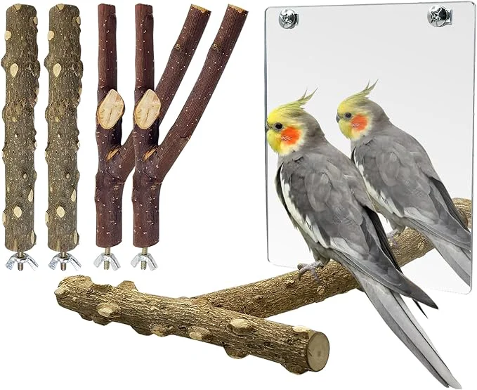 Contemporary BNOSDM 5PCS Bird Perches Stand Safe