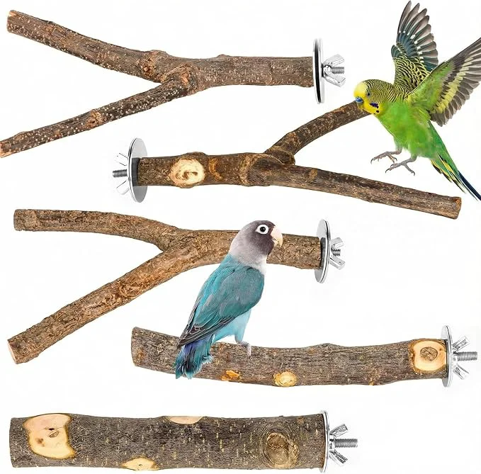 Consistent 5PCS Natural Wood Bird Perch Set Professional