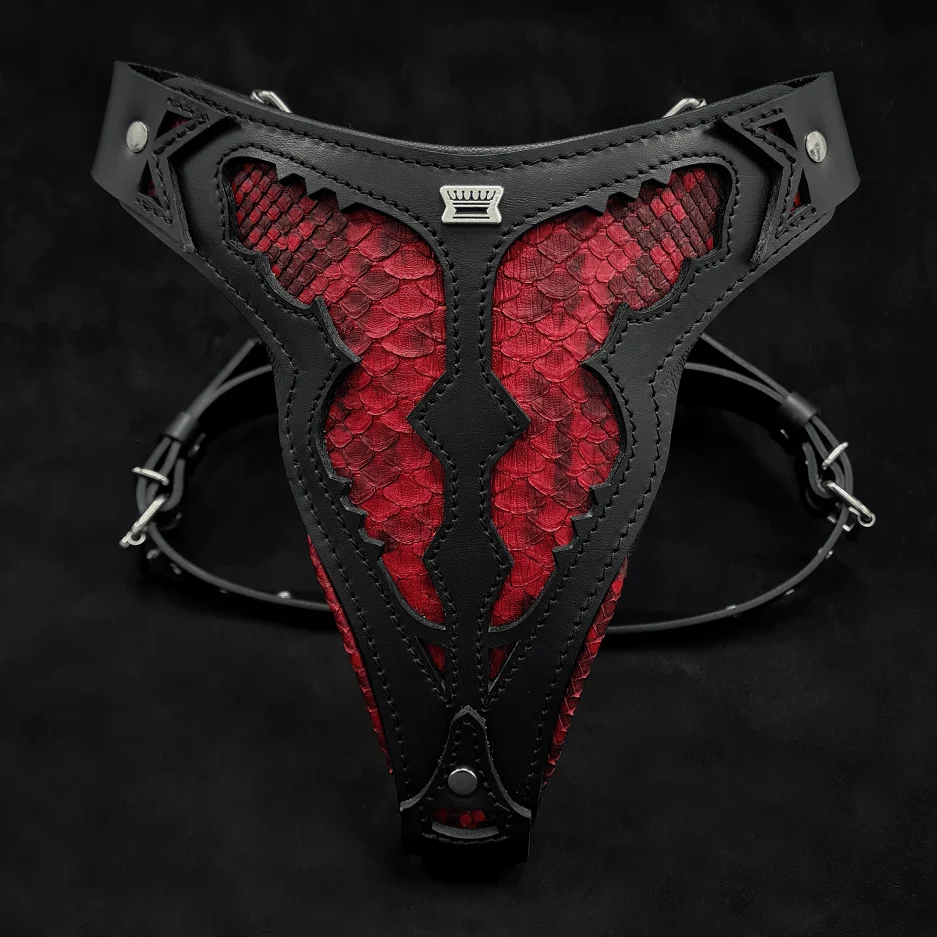 Easy-to-Use The ''Red Dragon'' harness Relaxed