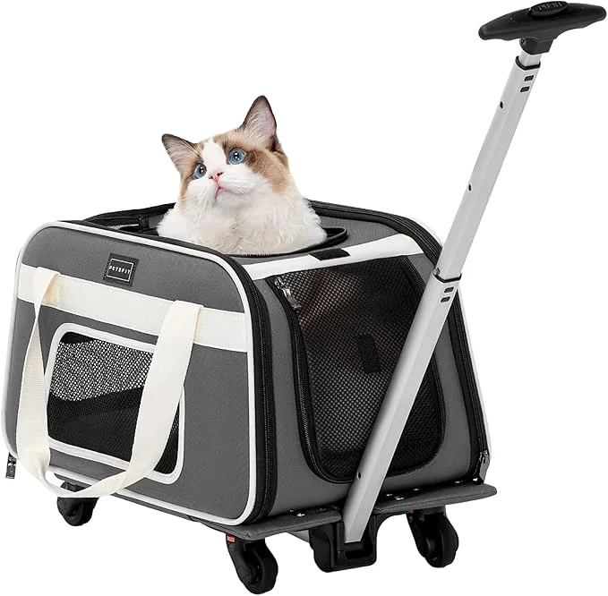 Contemporary PETSFIT Airline Cat Carrier Sophisticated