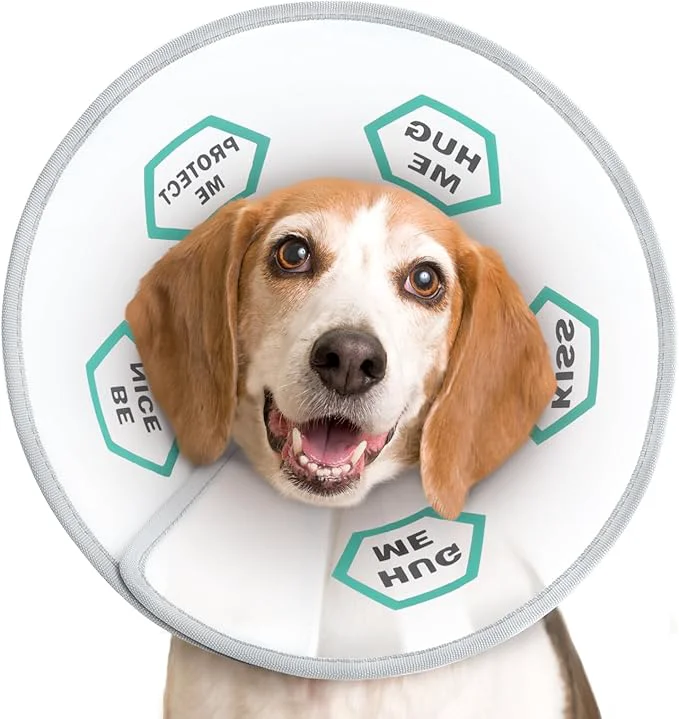 Eco-Friendly Supet Dog Cone Collar After Surgery to Stop Licking Adjustable Recovery Healthy