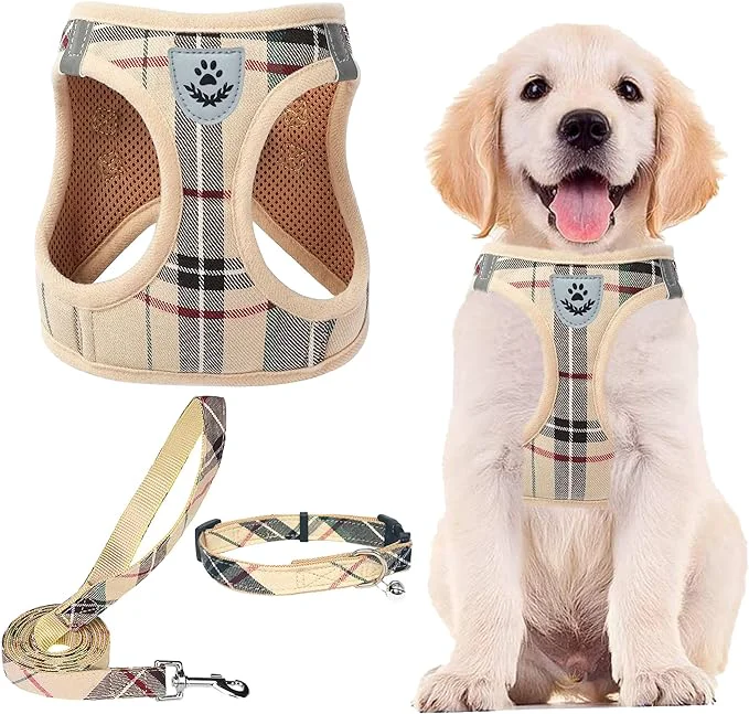 Specialty PUPTECK Adjustable Pet Harness Collar Leash Set Step in Modern