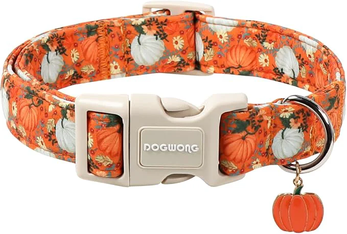 Authentic DOGWONG Fall Pumpkin Dog Collar- Cute Daisy Pumpkin Dog Collars Adjustable Optimized