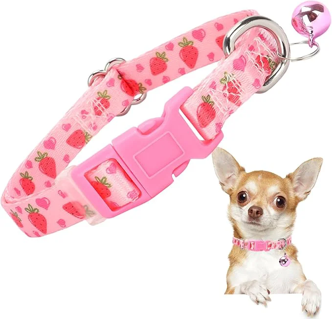 Casual XS Dog Collar with Bell Comfortable