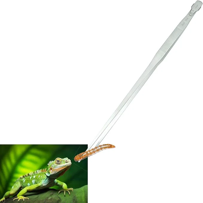 Green 18.9 inch Aquarium Tweezers Sustainable