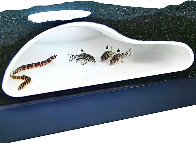 Reliable Aquarium Underground Tunnel Cave Natural Curve Viewing Fish Shrimp Under Premium