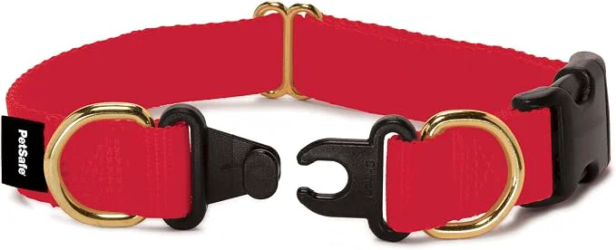 Genuine PetSafe KeepSafe Collar for Dogs Fashionable