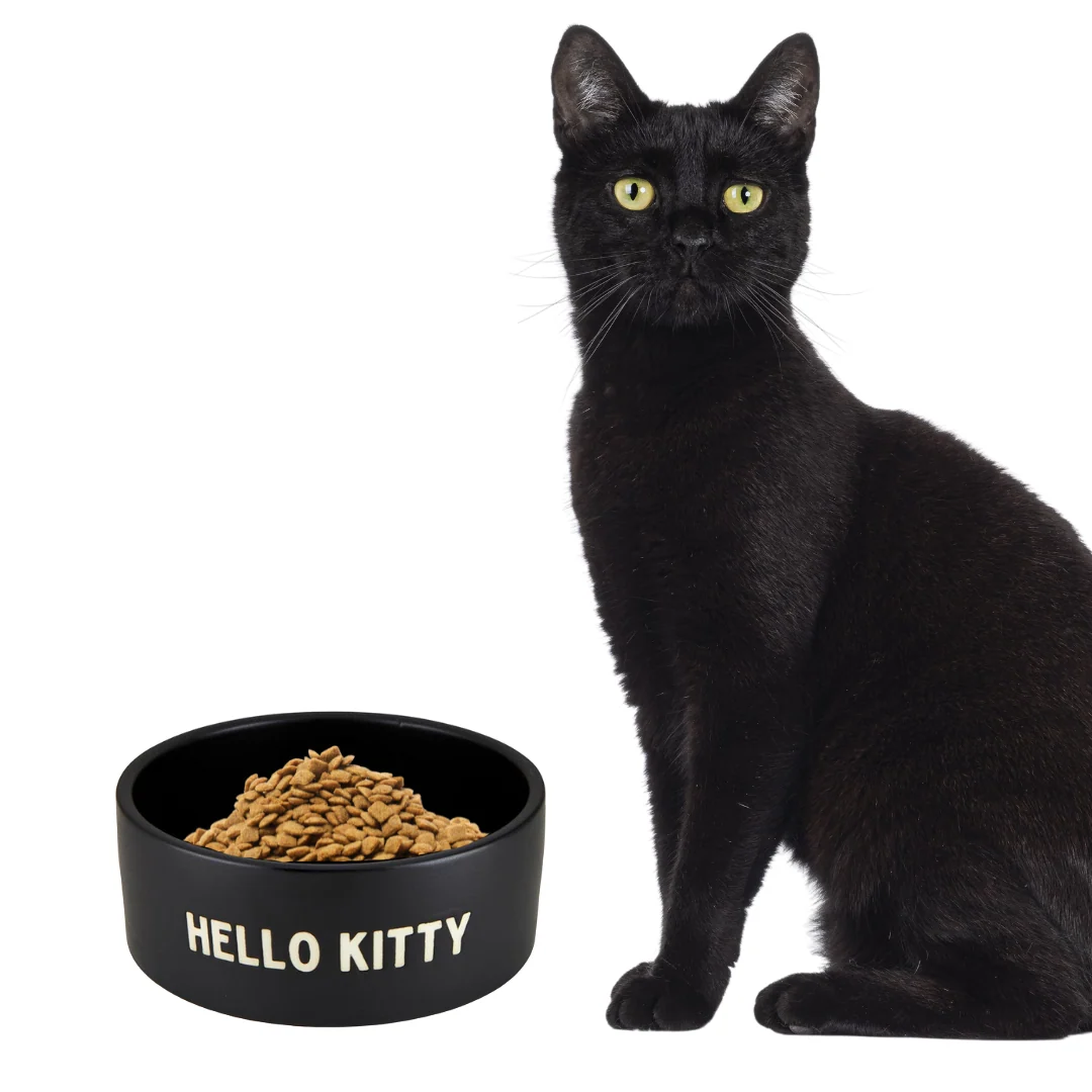 Soft Hello Kitty Ceramic Pet Bowl in Black Circular Pet Water Food Dish Feeder 6 Genuine