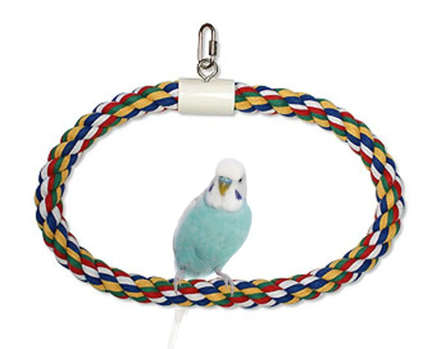 Functional JW Pet Swing N Perch Ring Bird Toy Multicolor Large Recyclable