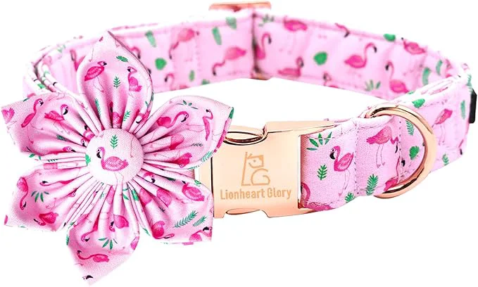 High-Performance Lionheart Glory Valentine's Day Collar Next-Generation