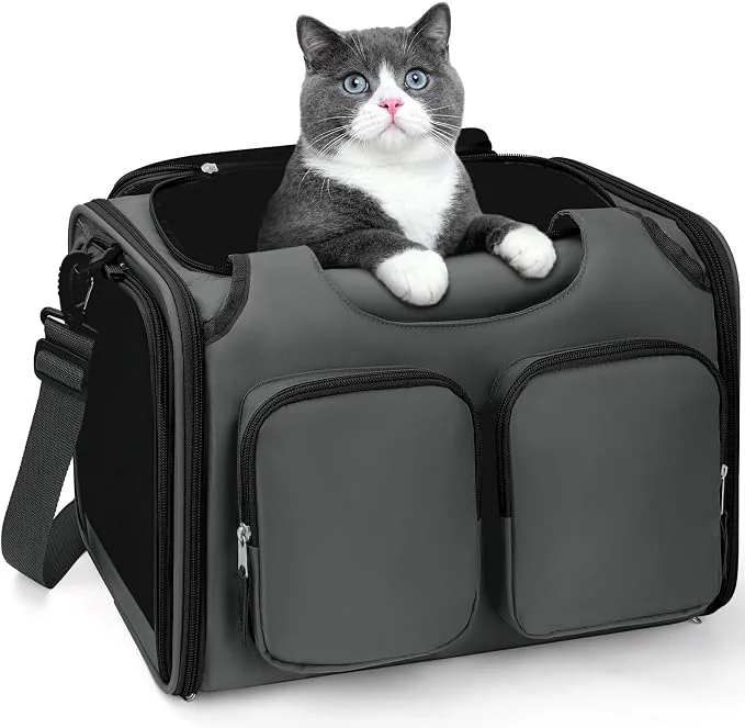 Carefully Designed Dog Cat Carrier for Pets Up to 15 Lbs Airline Collapsible Soft-Sided Minimalist