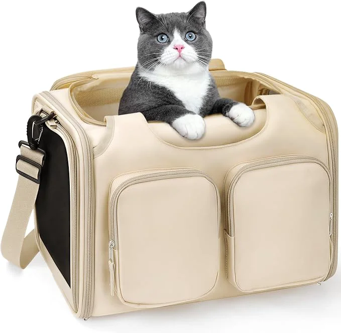 Trusted Dog Cat Carrier for Pets Up to 15 Lbs Airline Collapsible Soft-Sided Official