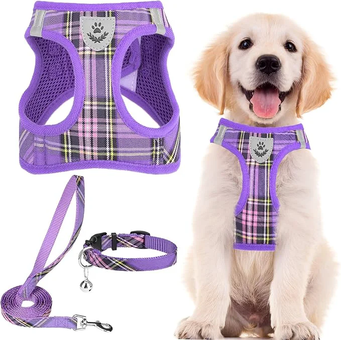 World-Class PUPTECK Adjustable Dog Harness Collar and Leash Set Step in No Pull Pet Harness Top-Quality