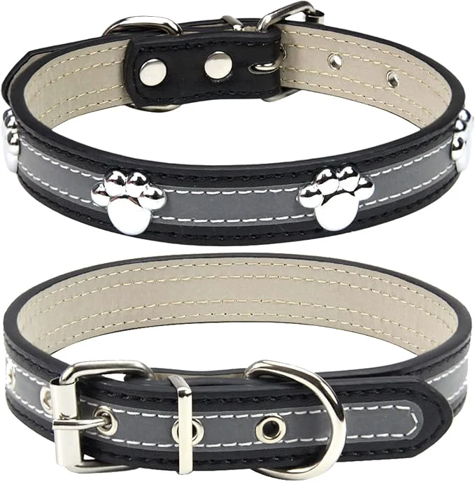 Versatile PETCARE Reflective Dog Collar Selected