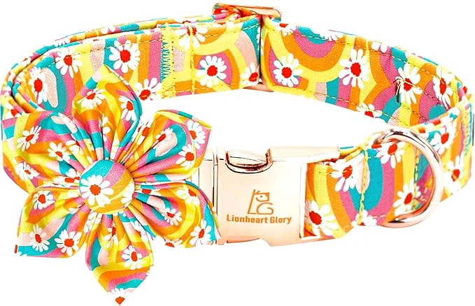 Traditional Lionheart glory Dog Collar Casual