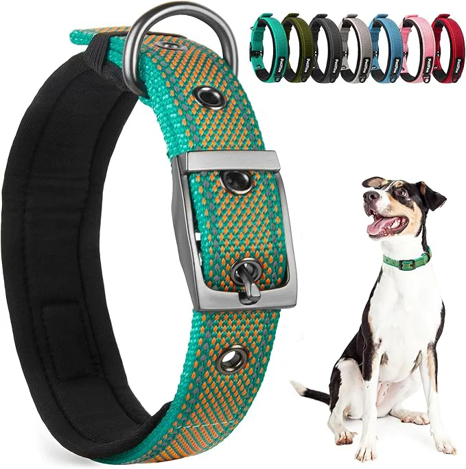 Superior PetiFine Dog Collar for Large Dogs Neoprene Padded and Adjustable Reflective Outstanding