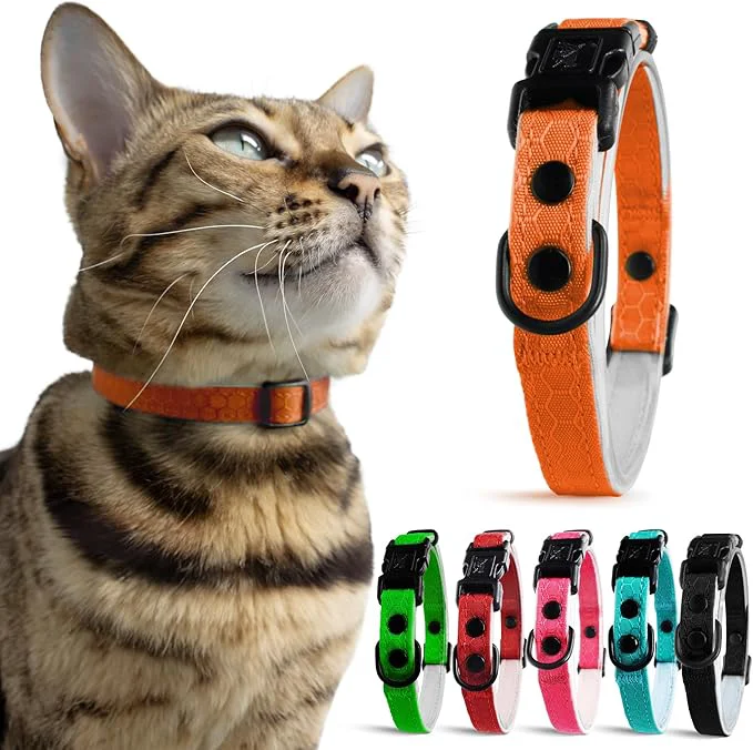 Advanced OutdoorBengal Orange Breakaway Kitten Collar Fast