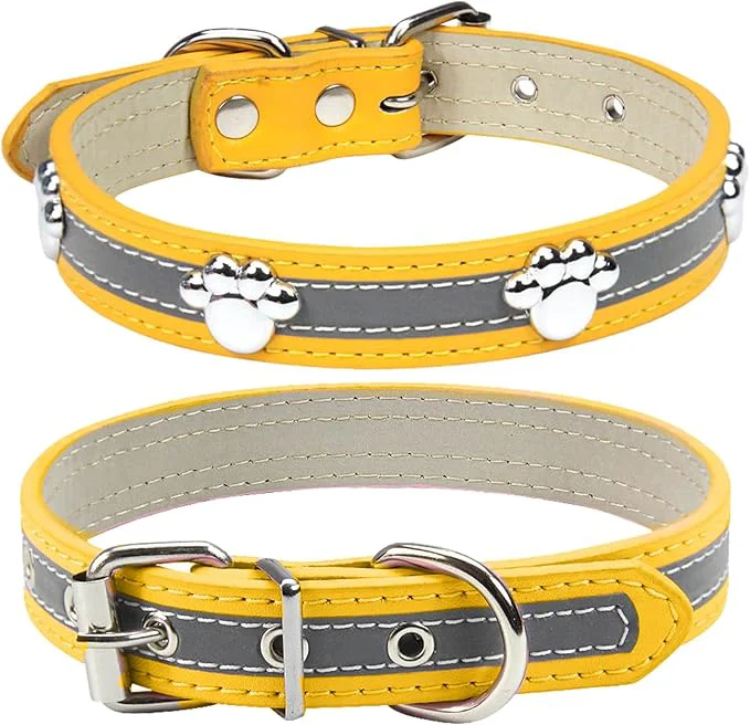 Artisan PETCARE Reflective Dog Collar Enhanced