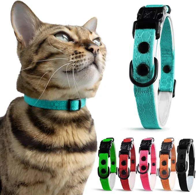 Consistent OutdoorBengal Blue Cat Collar Breakaway Pure