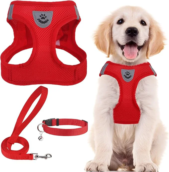 Superior PUPTECK Adjustable Dog Harness Collar and Leash Set Step in No Pull Pet Harness Exceptional