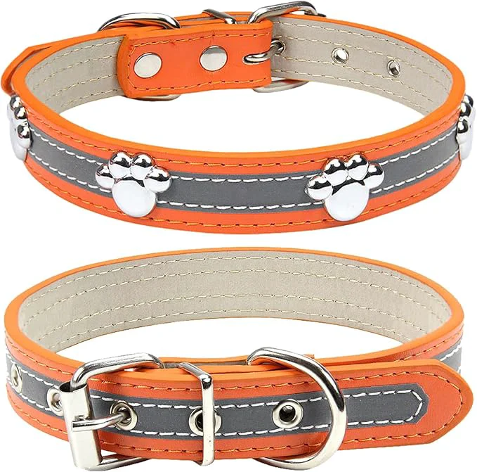 Certified PETCARE Reflective Dog Collar Smart