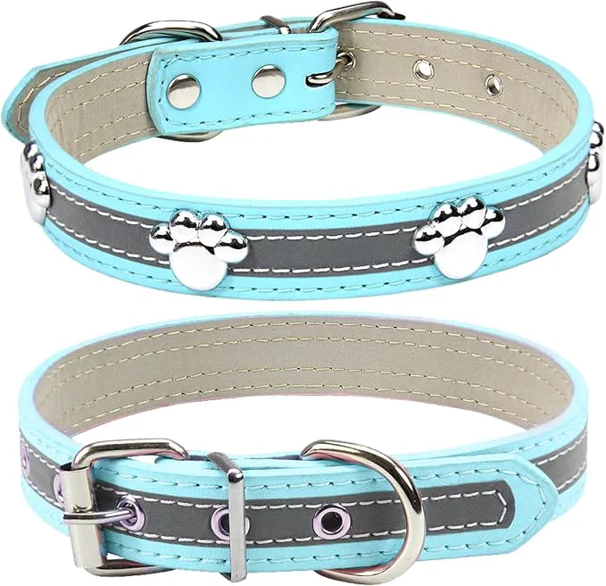 Clean PETCARE Reflective Dog Collar Verified