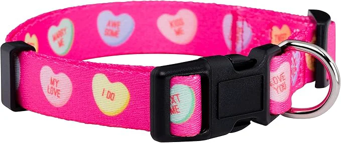 Stylish Native Pup Valentine s Dog Collar- Valentines Day Pet Collars- Valentine Girly Premium Material