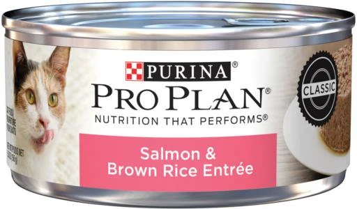 Dependable Purina Pro Plan Complete Essentials Salmon Brown Rice Entrée in Gravy Adult Wet Cat Food 5.5-oz First-Class