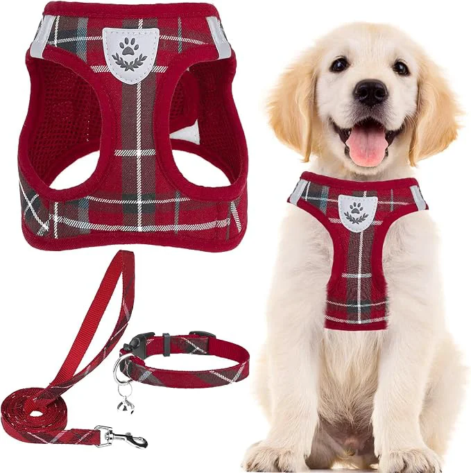 Next-Generation PUPTECK Adjustable Pet Harness Collar and Leash Set Step in Traditional