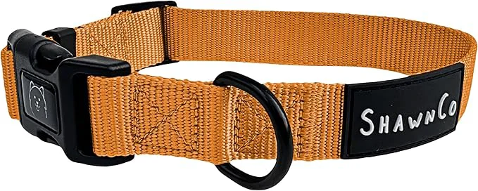 Trendy ShawnCo Dream Walk Dog Collar- Premium Adjustable and Comfortable Pet Collar Easy-to-Use