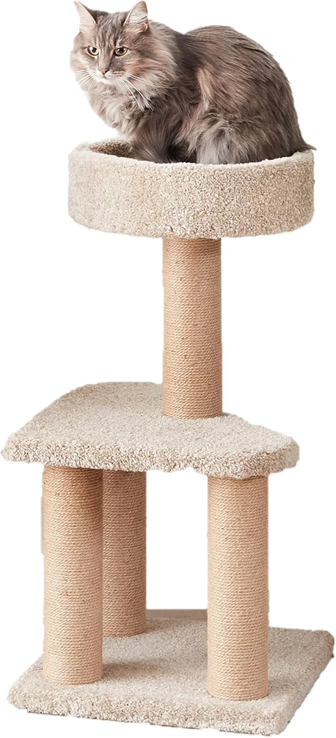 User-Friendly Amazon Basics Cat Tree Next-Generation