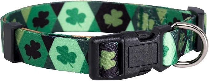 Certified Native Pup St Patricks Dog Collar- Saint Patrick Green Shamrock Pet Collars- Pure