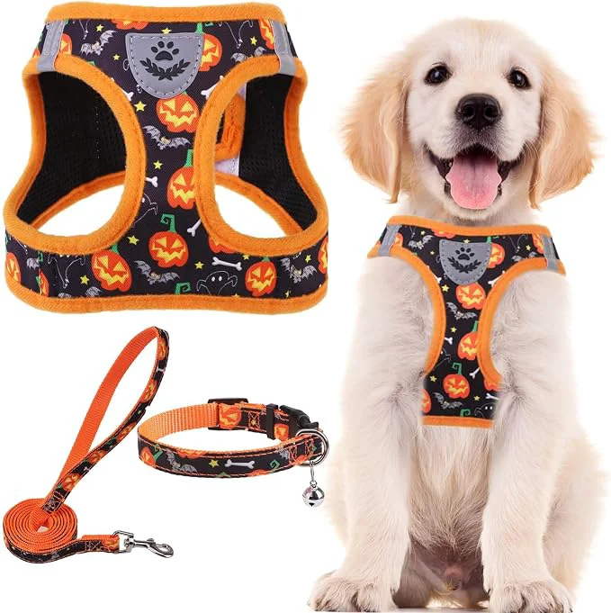 Verified PUPTECK Adjustable Dog Harness Collar and Leash Set Step in No Pull Pet Harness Elite