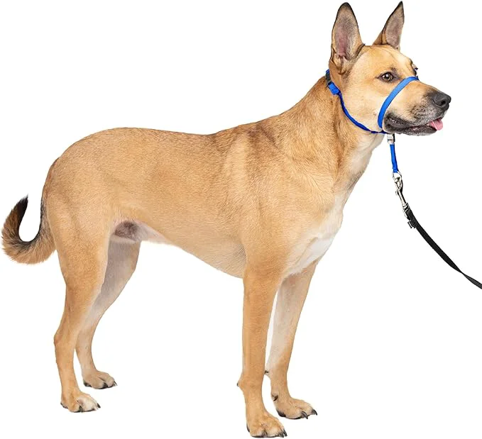Artisan PetSafe Gentle Leader Headcollar No-Pull Dog Collar Functional
