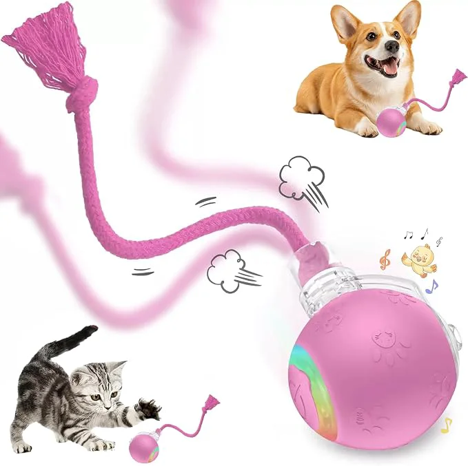 Unique FUNNYDUCK Speed 2.0 Tail Interactive Cat Toy – Motion-Activated Rolling Ball Clean
