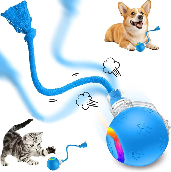 Elegant FUNNYDUCK Speed 2.0 Tail Interactive Cat Toys Durable