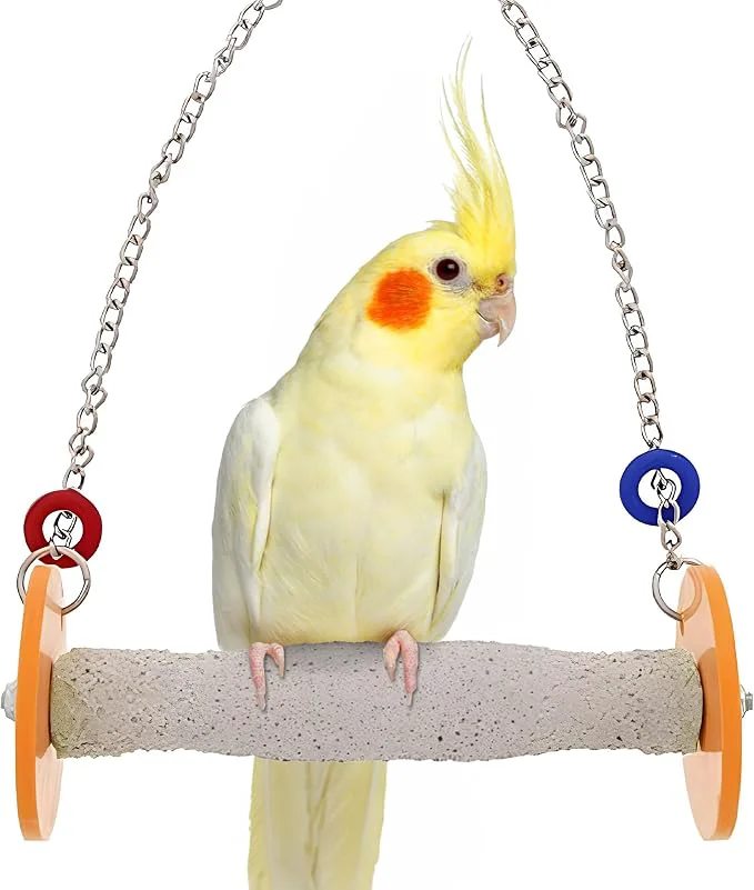 Original Design Sweet Feet and Beak Roll Bird Swing Casual