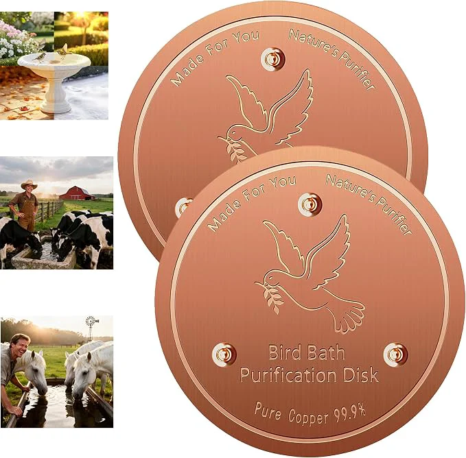 Contemporary 2 pack Copper Disk 99.9 Pure Copper disk Premium Material