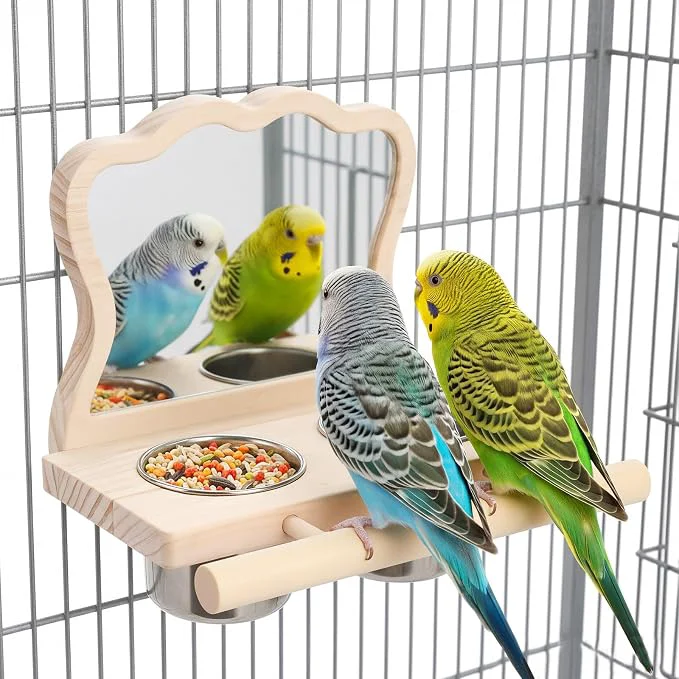 Detailed Feeder with Acrylic Mirror Stainless Steel Bowls Natural Wood Perch Unique