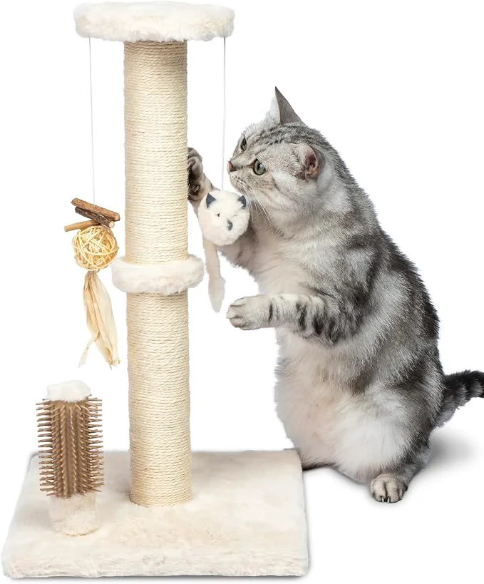 Certified Pet Supplies Catify Cat Scratcher Fun Interactive Scratchers Claw Safe