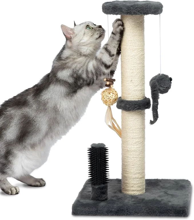 Casual Pet Supplies Catify Cat Scratcher Fun Interactive Scratchers Claw Safe High-Grade