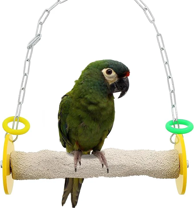 Minimalist Sweet Feet and Beak Bird Swing Safe