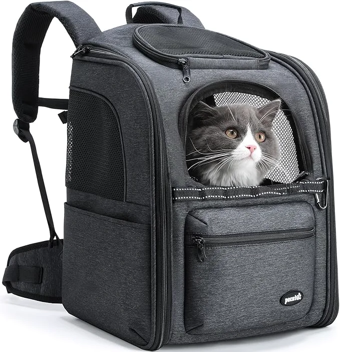Durable Pecute Cat Backpack Carrier by pecute - Backpacks Smooth