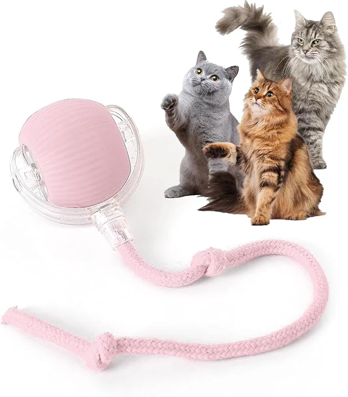 Specialty Rocfish Durable Interactive Cat Toys Exceptional
