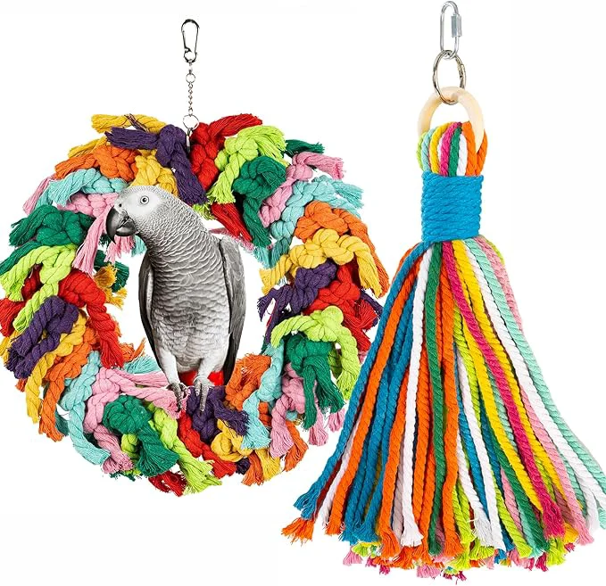 Consistent Parrot Swing for Large Birds Smooth