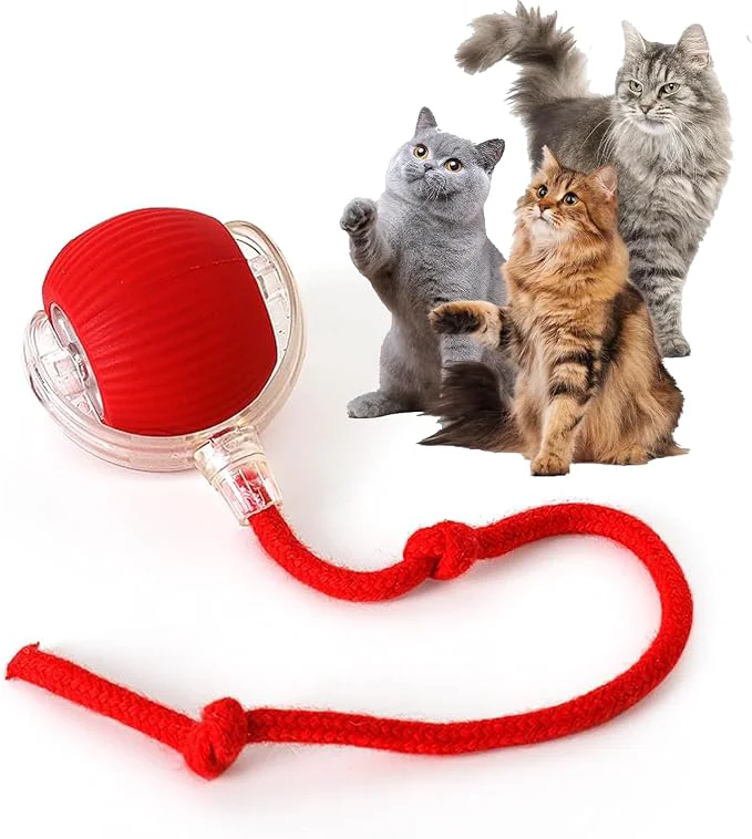 Smart Rocfish Durable Interactive Cat Toys Traditional