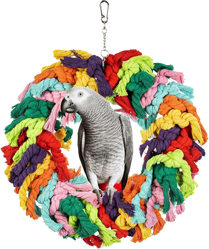 High-End Parrot Swing for Large Birds Relaxed