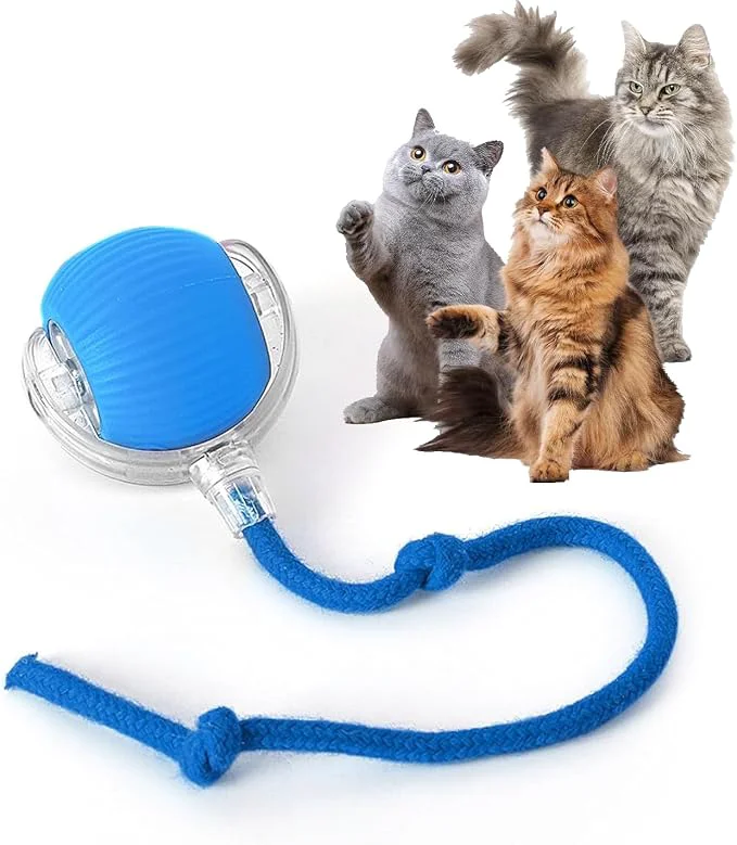 Secure Rocfish Durable Interactive Cat Toys Selected