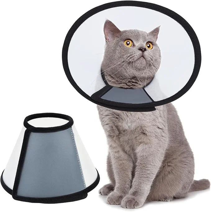 Functional Vivifying Cat Cone Adjustable Recovery Pet Cone Three Sizes Lightweight Organic